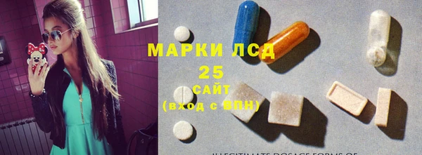соль ск Новозыбков