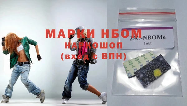 соль ск Новозыбков