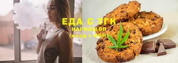 соль ск Новозыбков