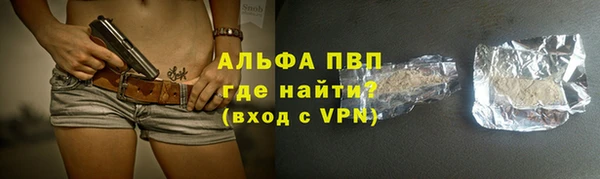 соль ск Новозыбков
