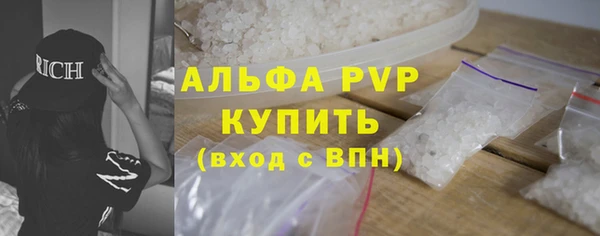 соль ск Новозыбков