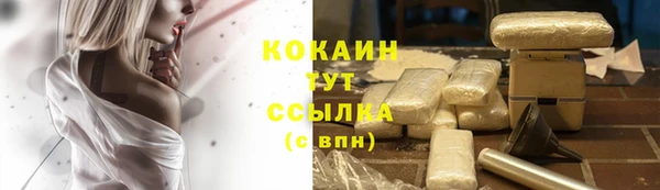 винт Нея