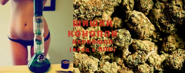 PSILOCYBIN Ветлуга