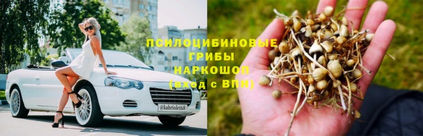 соль ск Новозыбков