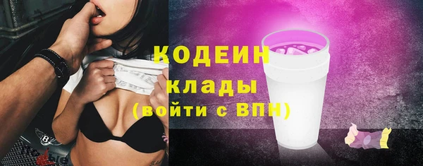 соль ск Новозыбков