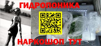 шишки Будённовск