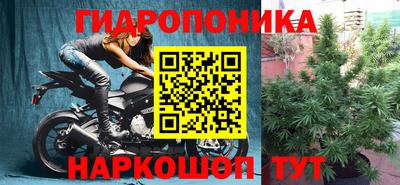 шишки Будённовск