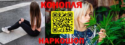 шишки Будённовск
