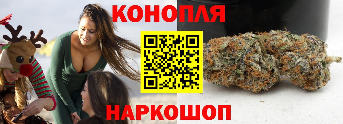 Бошки Шишки план Кубинка